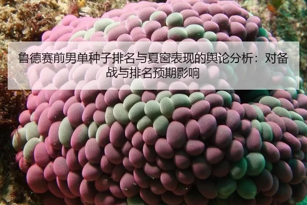 lu-de-sai-qian-nan-dan-zhong-zi-pai-ming-yu-xia-chuang-biao-xian-de-yu-lun-fen-xi-dui-bei-zhan-yu-pai-ming-yu-qi-ying-1-356.jpg